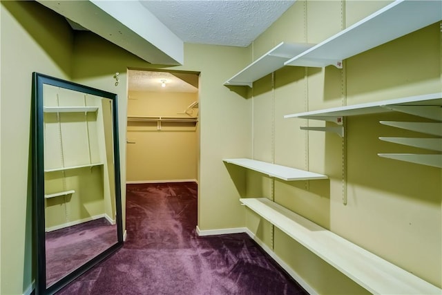 walk in closet with carpet flooring