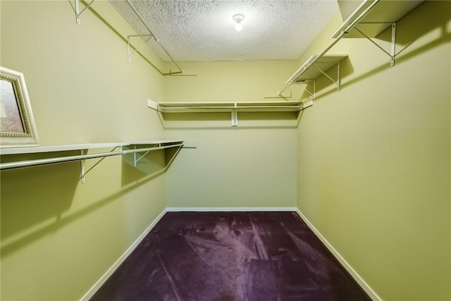 walk in closet featuring carpet