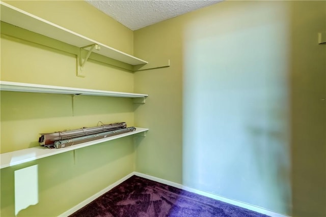 spacious closet featuring carpet flooring