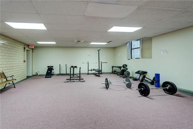 exercise room featuring carpet, baseboards, and a drop ceiling