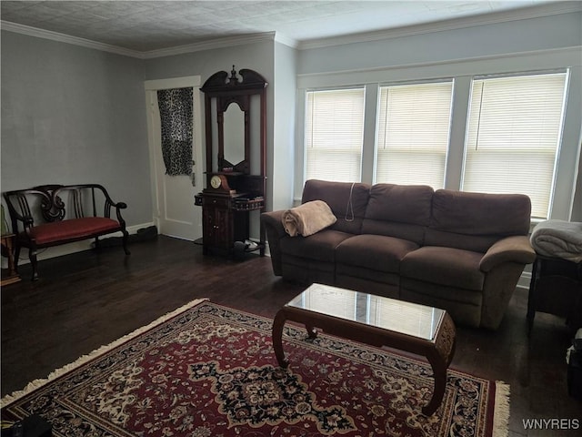 321 Hamilton Blvd, Tonawanda-Town, NY 14217 - living room featuring dark wood finished floors and baseboards