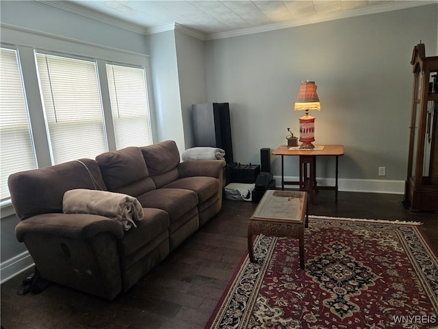 321 Hamilton Blvd, Tonawanda-Town, NY 14217 - living area with ornamental molding, baseboards, and dark wood-style floors