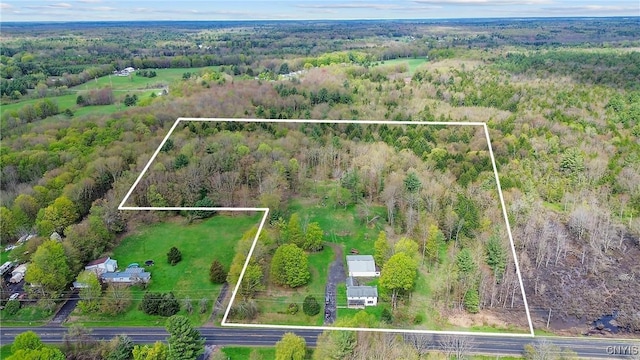 2303 County Route 37, Hastings, NY 13036 - photo 11