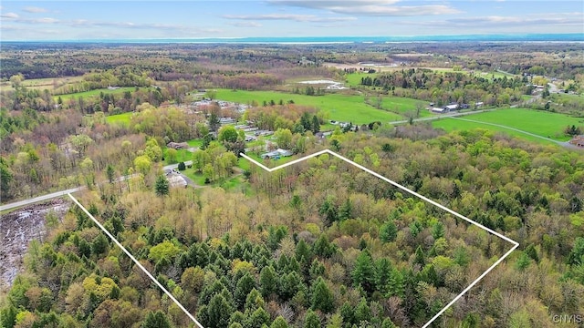 2303 County Route 37, Hastings, NY 13036 - photo 49
