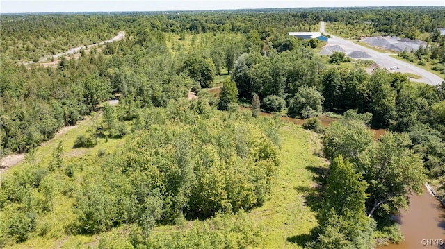 16744LOT4 Thompson Trail Dr, Brownville, NY 13634