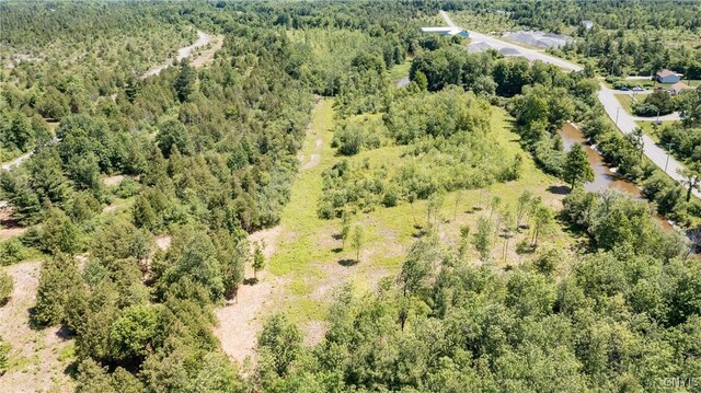 16744LOT4 Thompson Trail Dr, Brownville, NY 13634