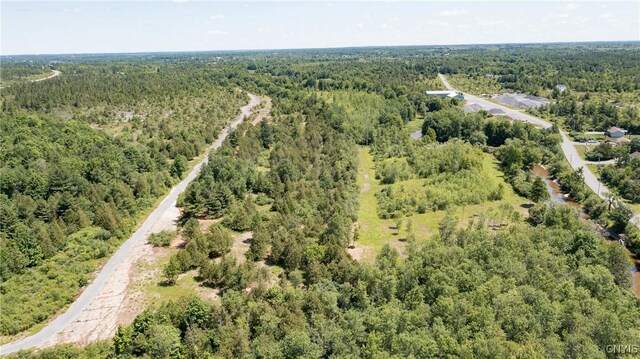 16744LOT4 Thompson Trail Dr, Brownville, NY 13634