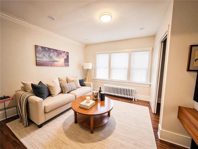 living room with radiator, baseboards, ornamental molding, and dark wood-style flooring