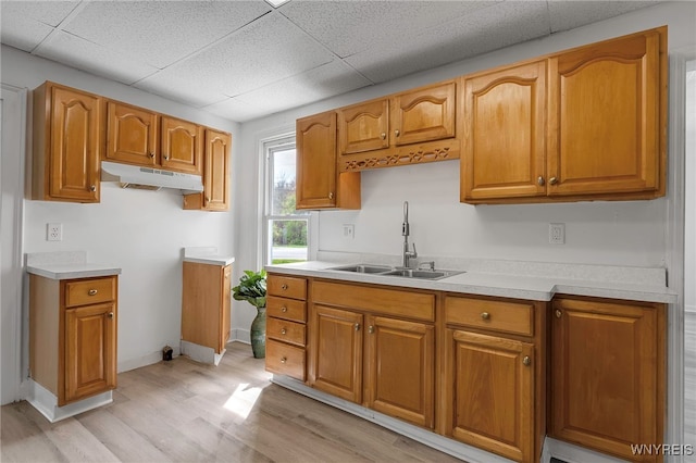 6043 Old Niagara Rd, Lockport Town, NY 14094 - kitchen featuring a sink, under cabinet range hood, light wood finished floors, a drop ceiling, and light countertops