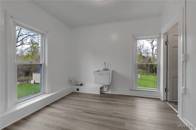 6043 Old Niagara Rd, Lockport Town, NY 14094 - spare room featuring crown molding, plenty of natural light, wood finished floors, and baseboards
