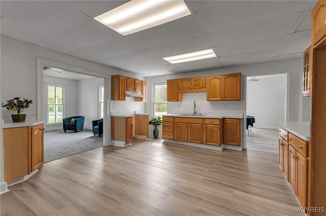 6043 Old Niagara Rd, Lockport Town, NY 14094 - kitchen with under cabinet range hood, a drop ceiling, a sink, light wood-style flooring, and light countertops