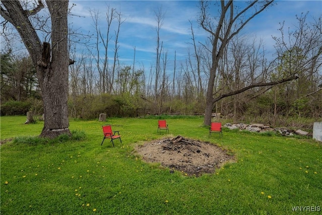 6043 Old Niagara Rd, Lockport Town, NY 14094 - view of green lawn