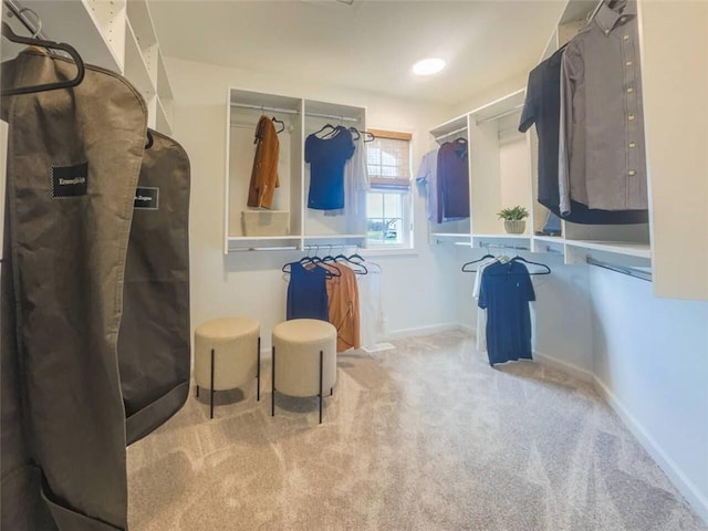 160 Jade Creek Dr, Greece, NY 14468 - walk in closet featuring carpet flooring