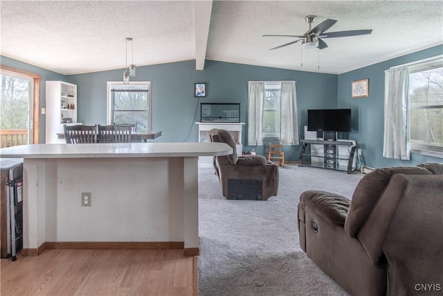 30204 County Route 179, Lyme, NY 13622 - living room with healthy amount of natural light, a textured ceiling, a ceiling fan, baseboards, and light wood-type flooring