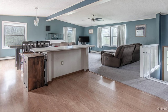 30204 County Route 179, Lyme, NY 13622 - kitchen featuring light wood finished floors, baseboard heating, a ceiling fan, pendant lighting, and a textured ceiling
