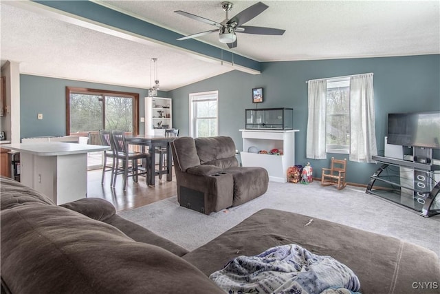 30204 County Route 179, Lyme, NY 13622 - living area featuring ceiling fan, a textured ceiling, carpet floors, and baseboards