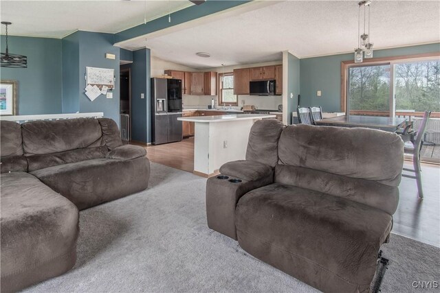 30204 County Route 179, Lyme, NY 13622 - living room with light carpet and lofted ceiling