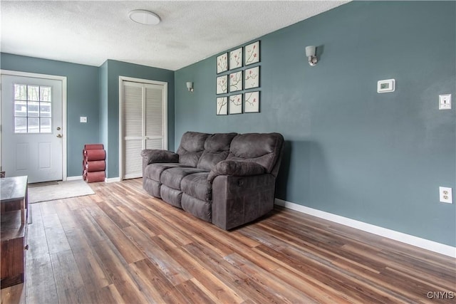 30204 County Route 179, Lyme, NY 13622 - living room with wood finished floors, a textured ceiling, and baseboards
