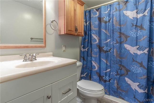 30204 County Route 179, Lyme, NY 13622 - bathroom with vanity, toilet, and a shower with curtain