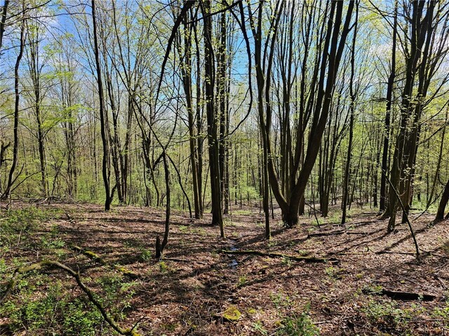 3587 Gillies Hill Rd, Birdsall, NY 14822