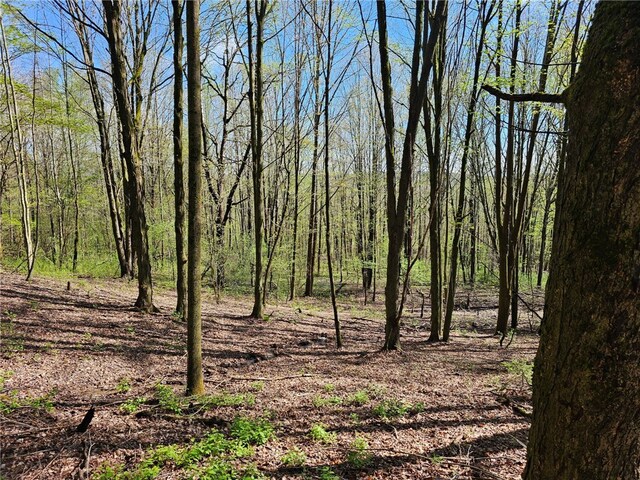 3587 Gillies Hill Rd, Birdsall, NY 14822