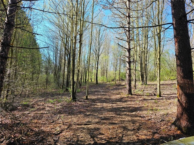 3587 Gillies Hill Rd, Birdsall, NY 14822