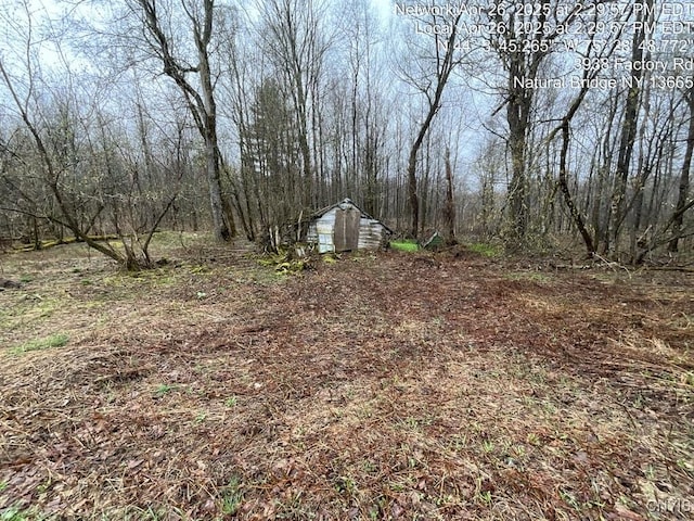 view of yard with a shed and an outdoor structure