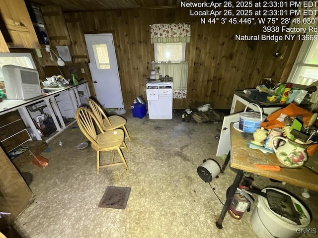 kitchen featuring wood walls
