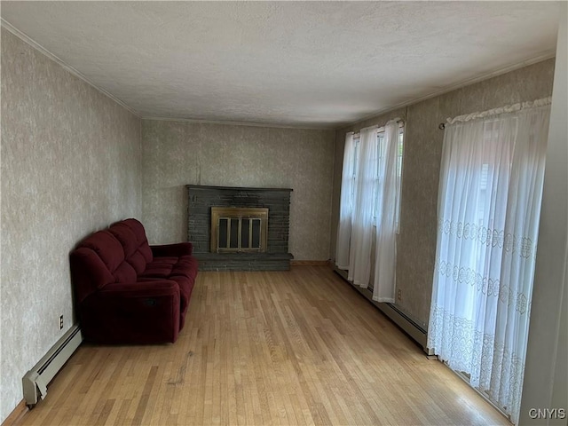 5131 Bear Rd, Clay, NY 13212 - living area with baseboard heating, light wood-style floors, and a fireplace