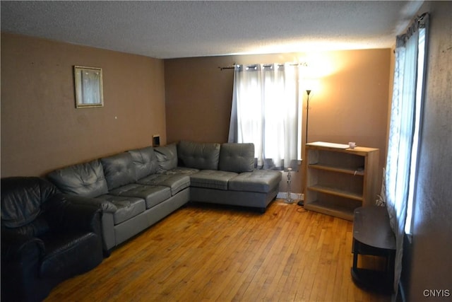 206 Marilyn Ave, Salina, NY 13212 - living room with a textured ceiling and light wood-type flooring