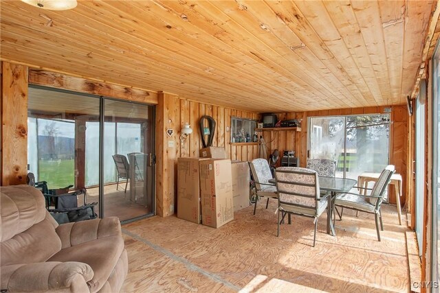 3542 Griffin Rd, Onondaga, NY 13215 - sunroom / solarium featuring healthy amount of natural light