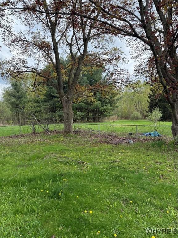 6358 Dale Rd, Newfane, NY 14108 - view of grassy yard