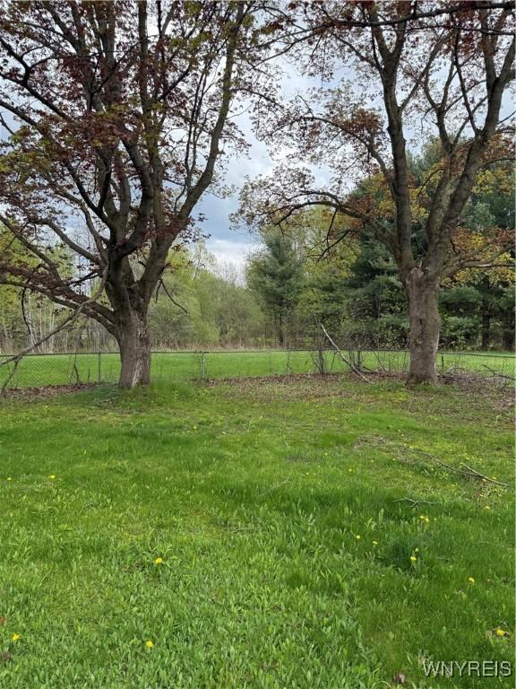 6358 Dale Rd, Newfane, NY 14108 - view of yard