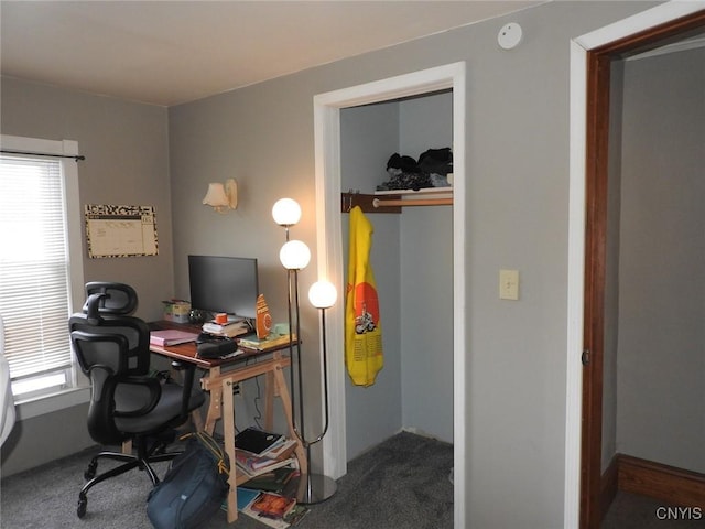 23 Paul St, Auburn, NY 13021 - office space featuring carpet