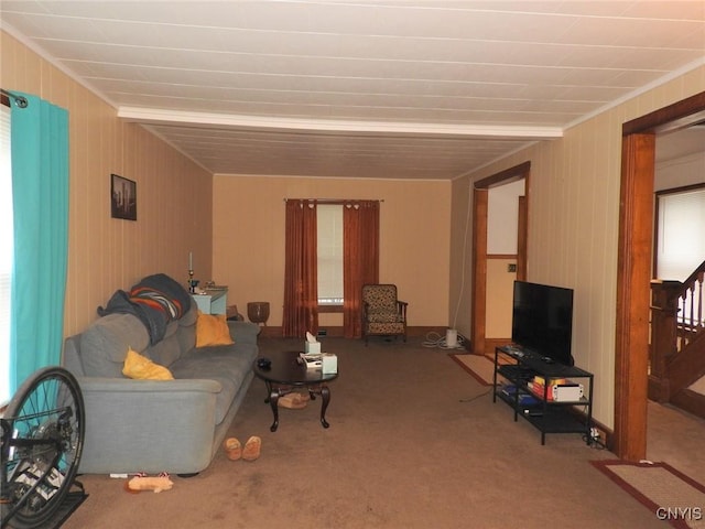 23 Paul St, Auburn, NY 13021 - living area featuring carpet flooring, wood walls, and stairs