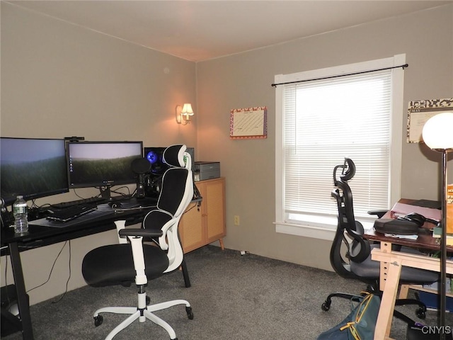 23 Paul St, Auburn, NY 13021 - carpeted office space with healthy amount of natural light