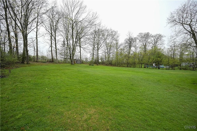 view of grassy yard
