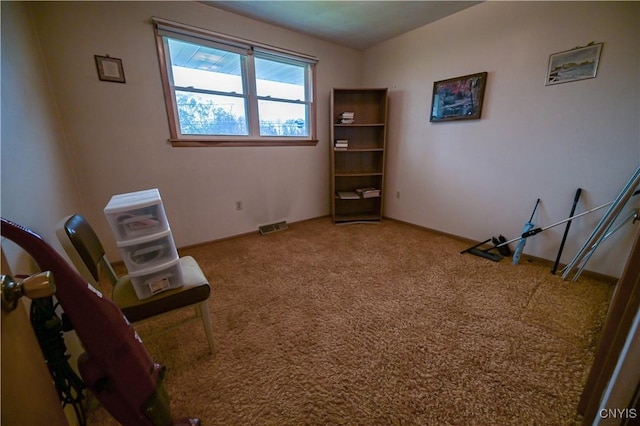 misc room featuring carpet flooring