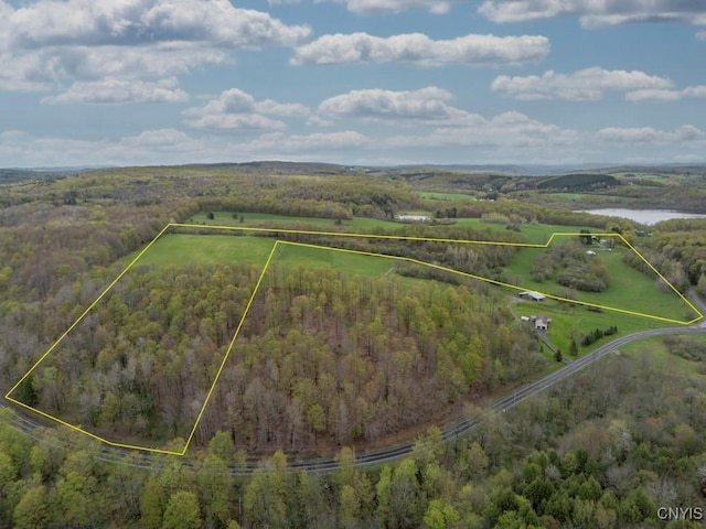 1957 Torpy Pond Rd, Georgetown, NY 13061 - view of property location featuring a forest, property boundaries highlighted, and a large body of water