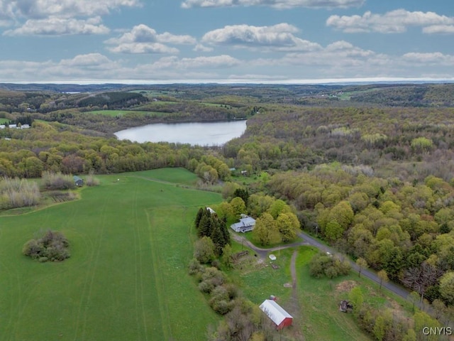 1957 Torpy Pond Rd, Georgetown, NY 13061 - aerial view of property and surrounding area featuring a large body of water and a forest