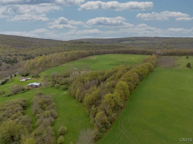 1957 Torpy Pond Rd, Georgetown, NY 13061 - overview of rural landscape with a heavily wooded area