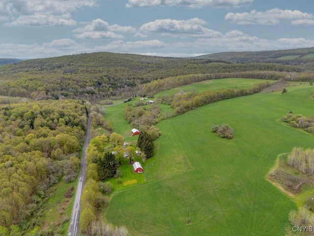 1957 Torpy Pond Rd, Georgetown, NY 13061 - aerial view of a forest