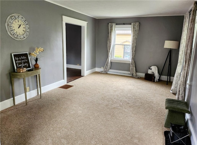 515 Park Pl, Erwin, NY 14870 - unfurnished room featuring carpet, crown molding, and baseboards