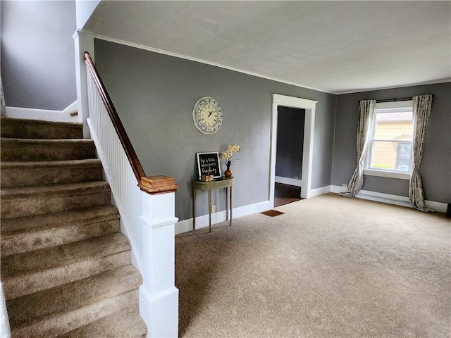 515 Park Pl, Erwin, NY 14870 - stairway with carpet flooring, baseboards, and crown molding
