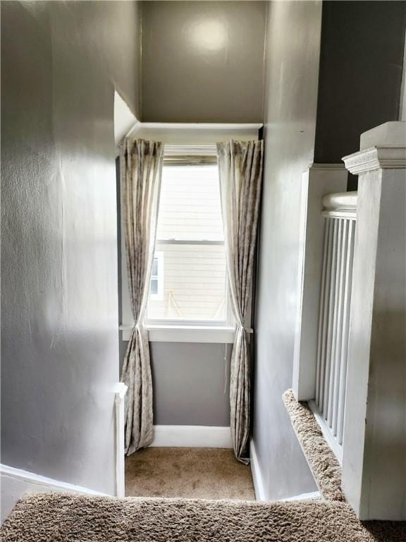 515 Park Pl, Erwin, NY 14870 - stairs featuring carpet flooring, healthy amount of natural light, and baseboards