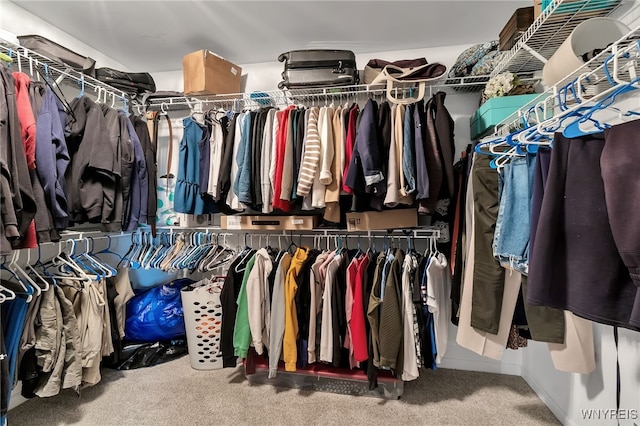 walk in closet featuring carpet