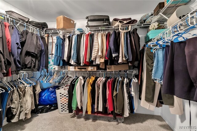 905 Sullivan Ct, Lewiston, NY 14092 - walk in closet featuring carpet