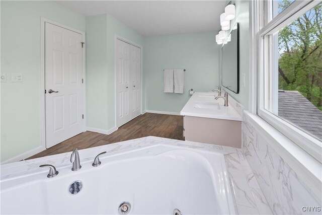 full bathroom with a whirlpool tub, wood finished floors, and double vanity