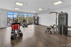 gym featuring wood finished floors
