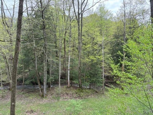 1826 Cardner Rd, Fabius, NY 13122 - view of tree filled area